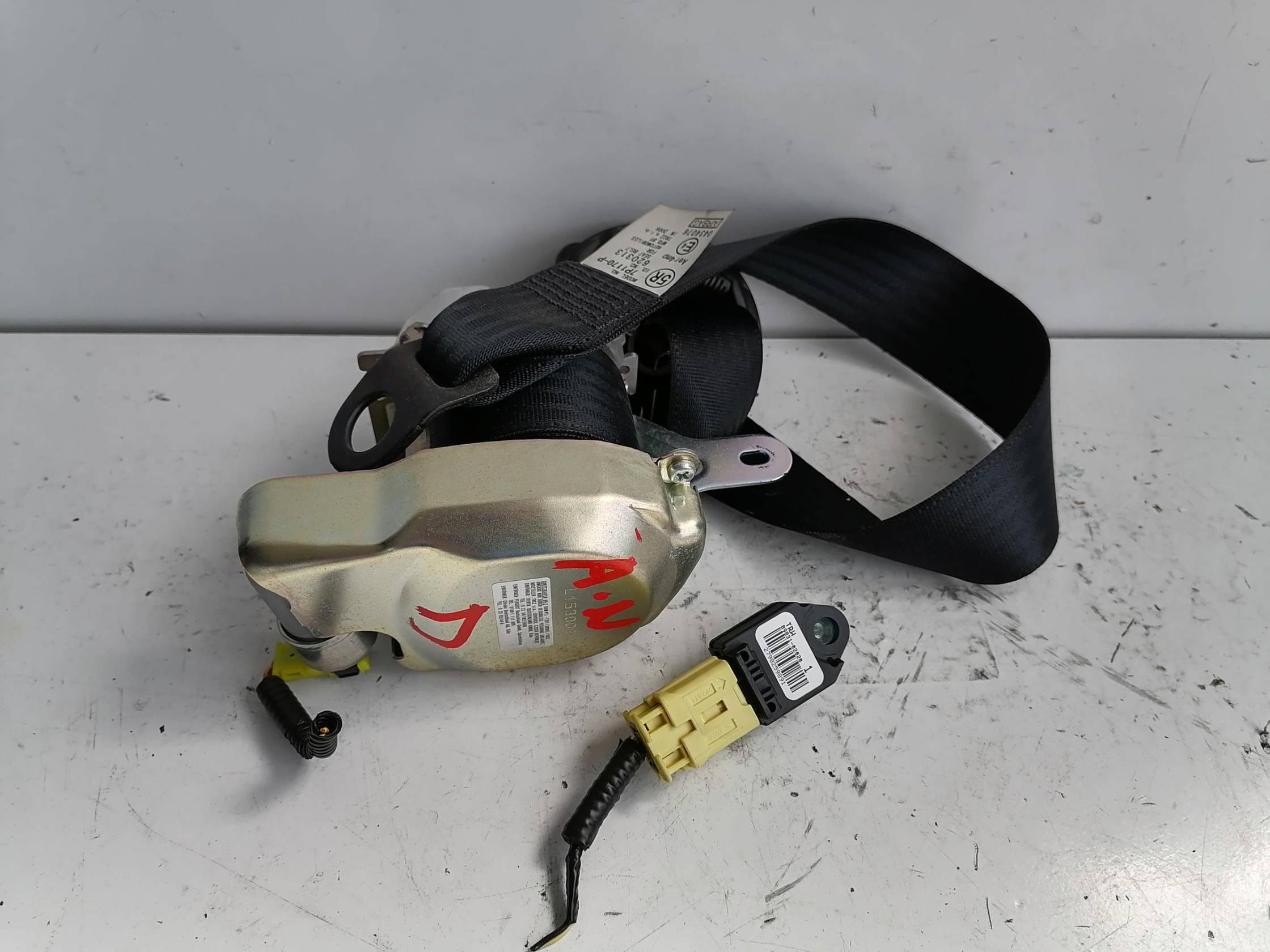 Cintura di sicurezza ant. dx.